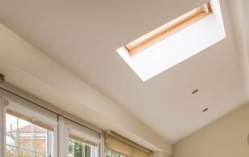 Torlum conservatory roof insulation companies